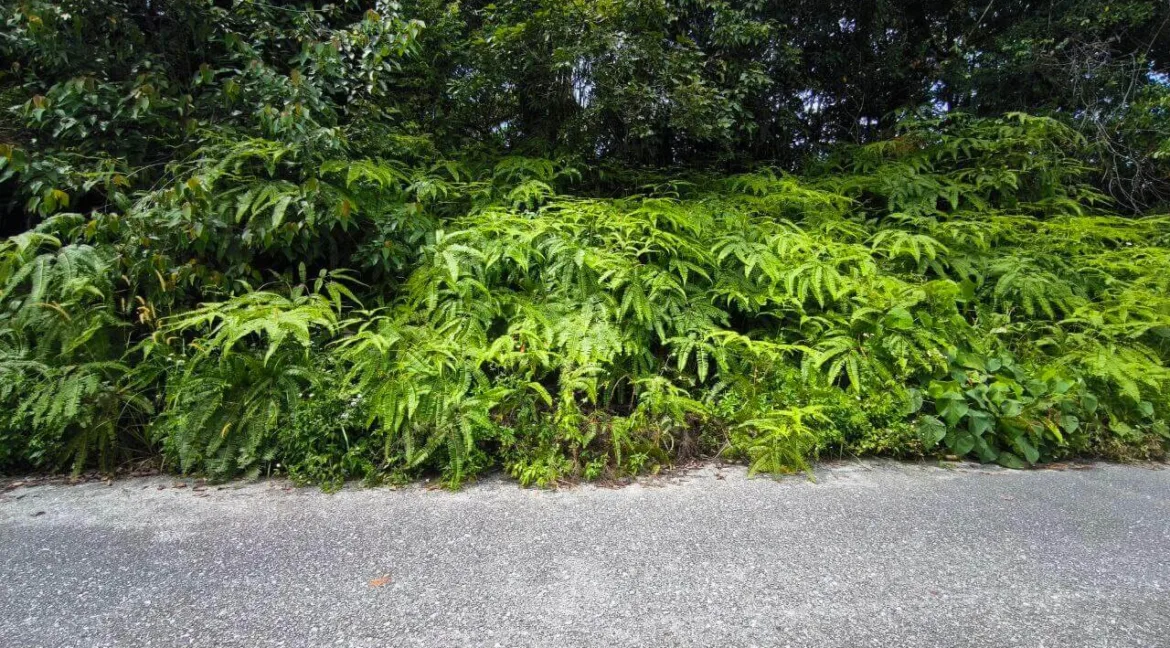 tanah-pertanian-untuk-dijual-di-tanjung-rambutan-03