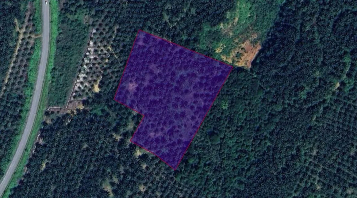 tanah-pertanian-untuk-dijual-kampung-sungai-dendang-selama-perak-03