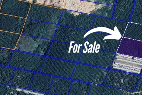 Tanah Sawit untuk dijual di Segari, Lumut, Perak