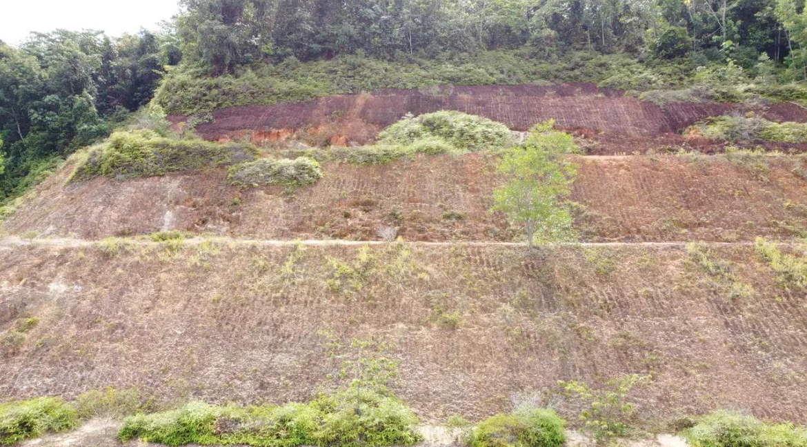 Tanah Pertanian untuk dijual di Behrang, Muallim
