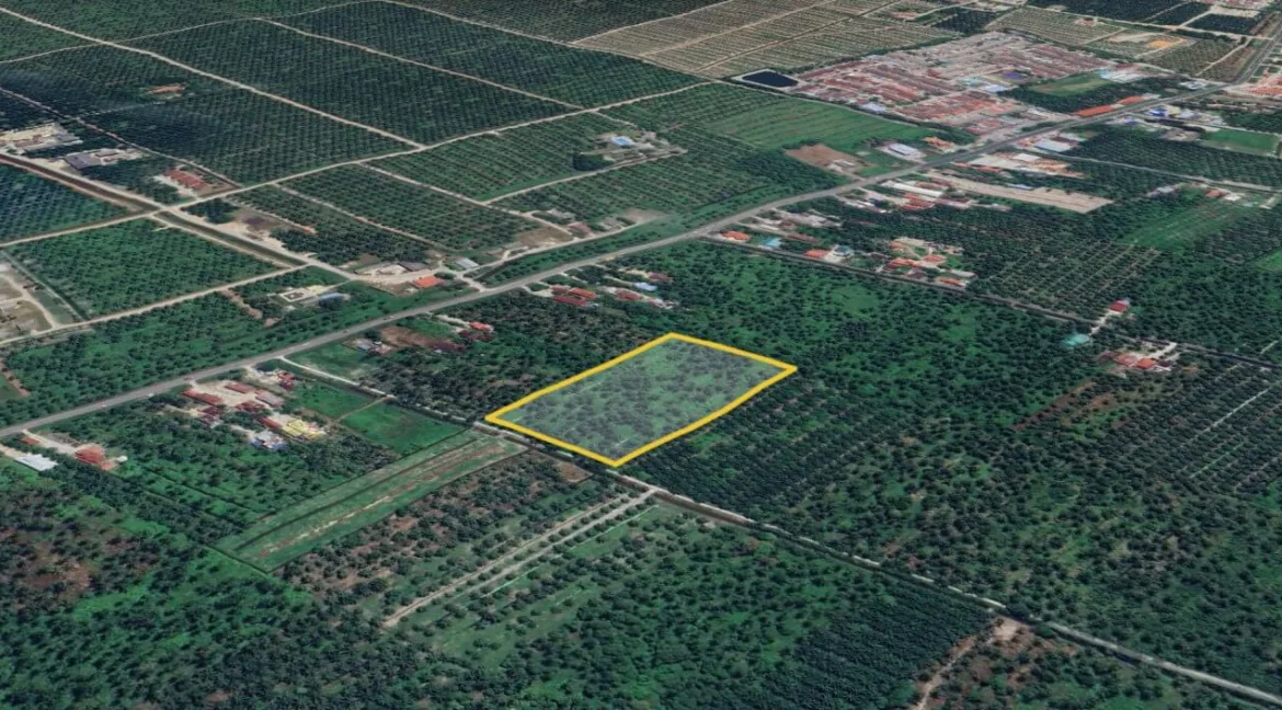 Tanah Pertanian untuk dijual di Selekoh, Bagan Datuk