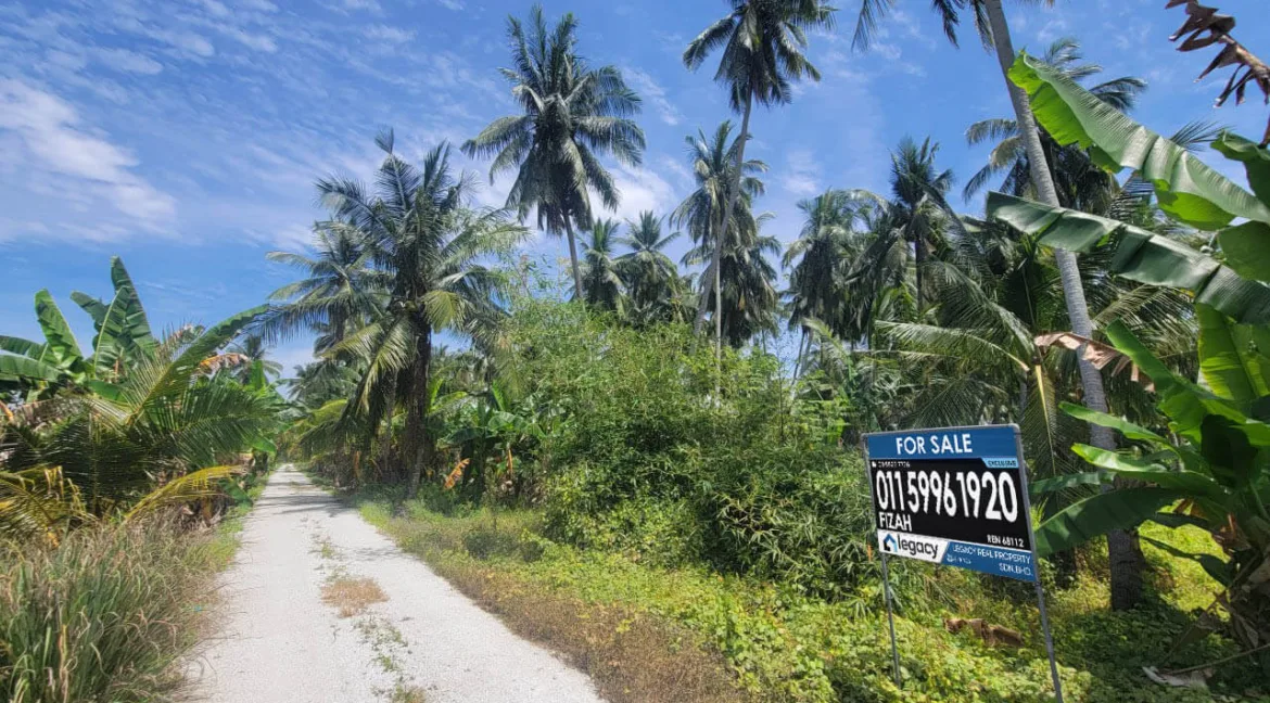 tanah-pertanian-untuk-dijual-di-selekoh-bagan-datuk-04