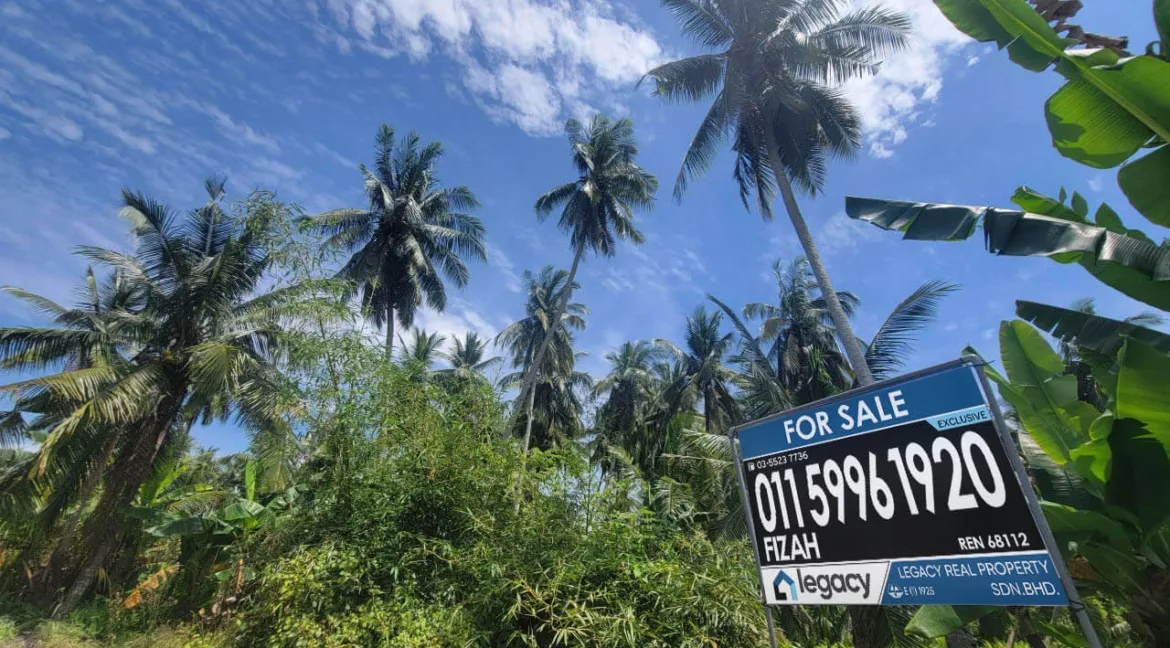 tanah-pertanian-untuk-dijual-di-selekoh-bagan-datuk-05