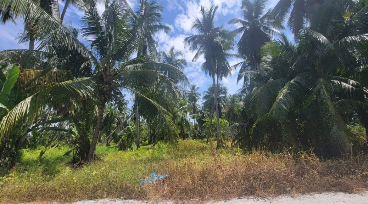 tanah-pertanian-untuk-dijual-di-selekoh-bagan-datuk-09