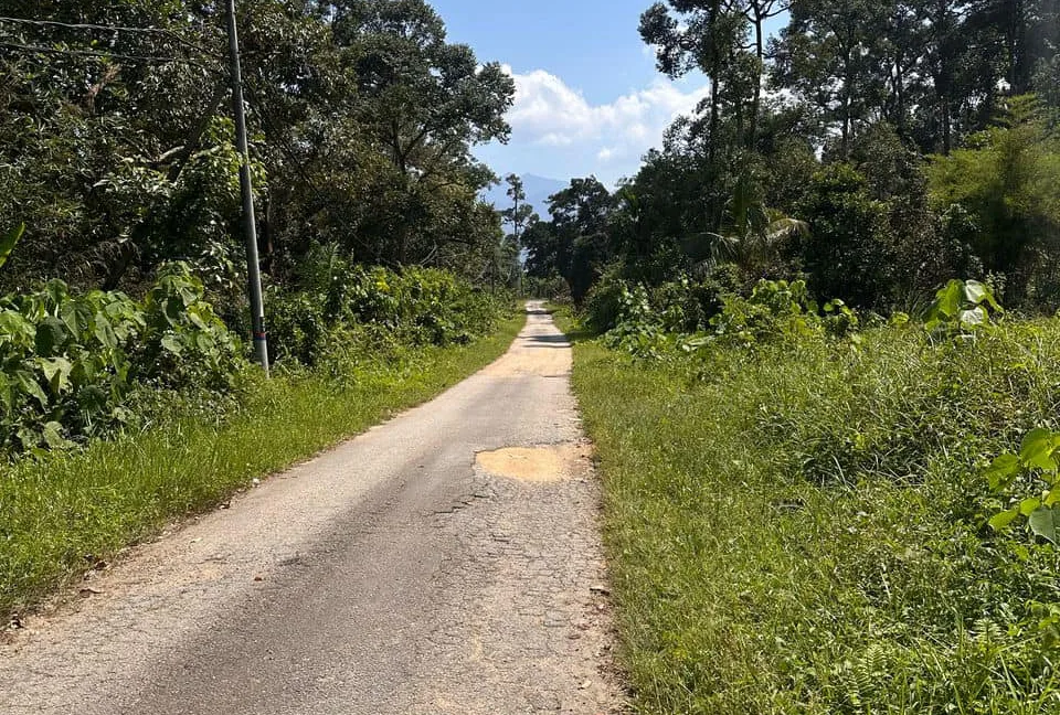 tanah-pertanian-untuk-dijual-di-bukit-gantang-02