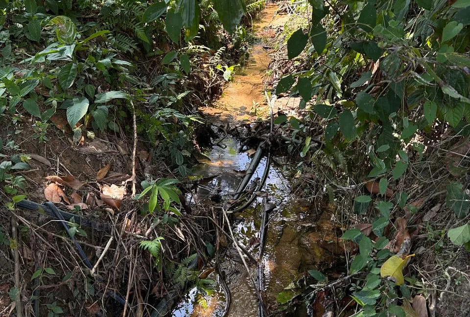 tanah-pertanian-untuk-dijual-di-bukit-gantang-03