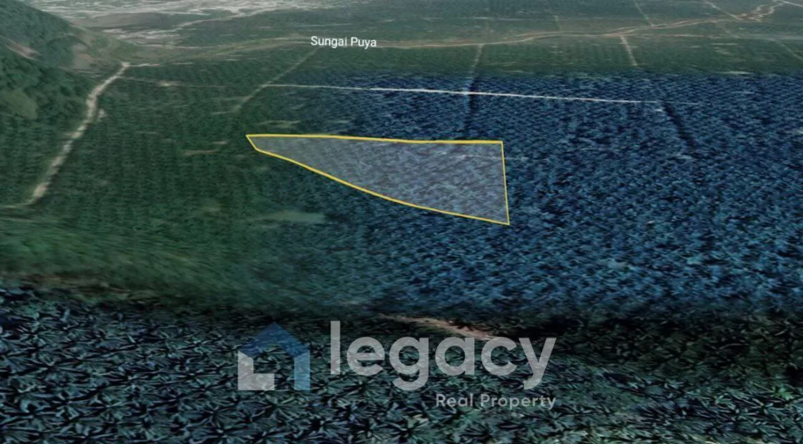 tanah-untuk-dijual-tanjung-hantu-lumut-04