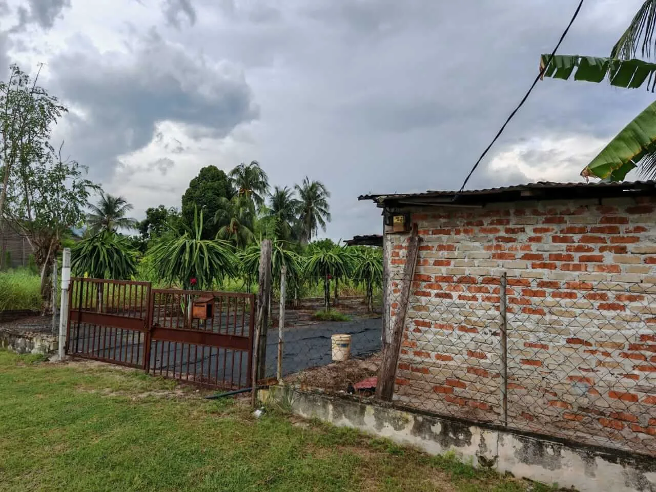 TANAH LOT UNTUK DIJUAL DI KAMPUNG TERSUSUN TEKAH, SIMPANG PULAI