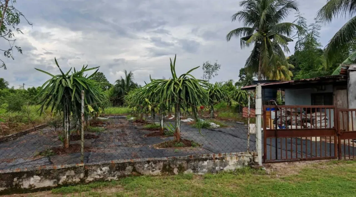 tanah-lot-kampung-tersusun-tekah-simpang-pulai-02
