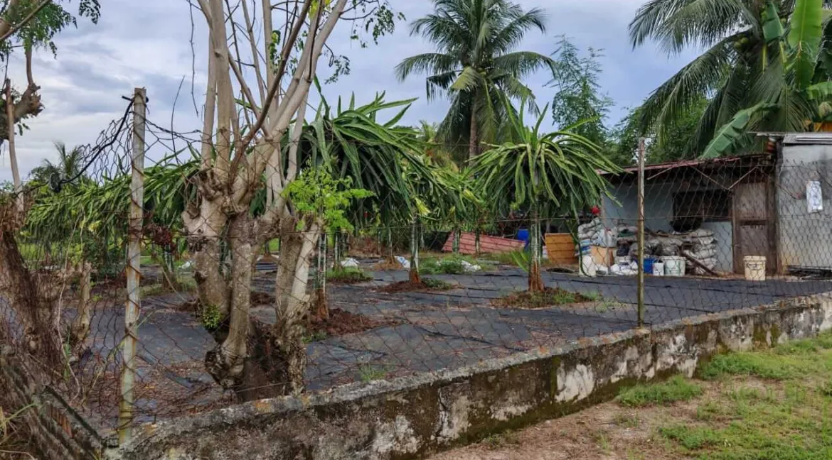 tanah-lot-kampung-tersusun-tekah-simpang-pulai-04