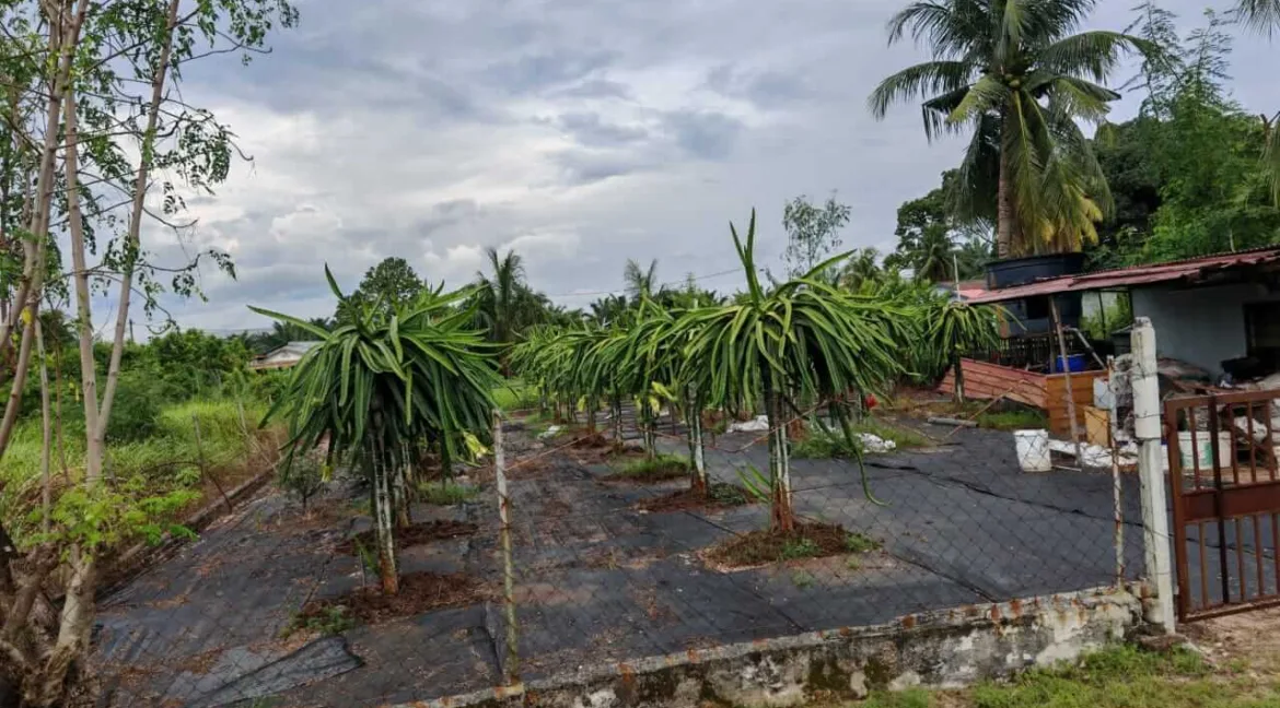 tanah-lot-kampung-tersusun-tekah-simpang-pulai-06