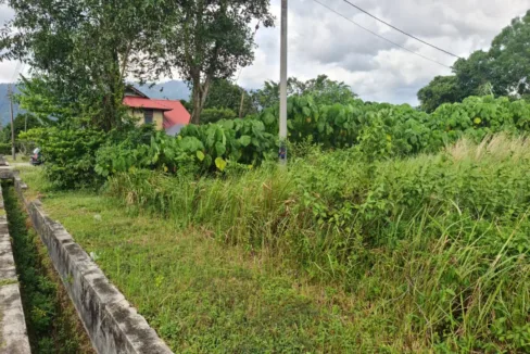 Tanah Lot Untuk Dijual Di Kampung Pinang, Kamunting