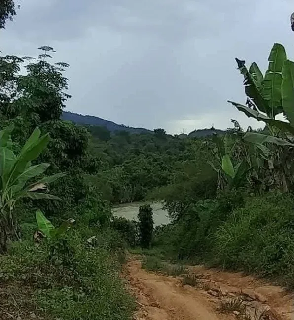 tanah-pertanian-ayer-karah-1-lenggong-03
