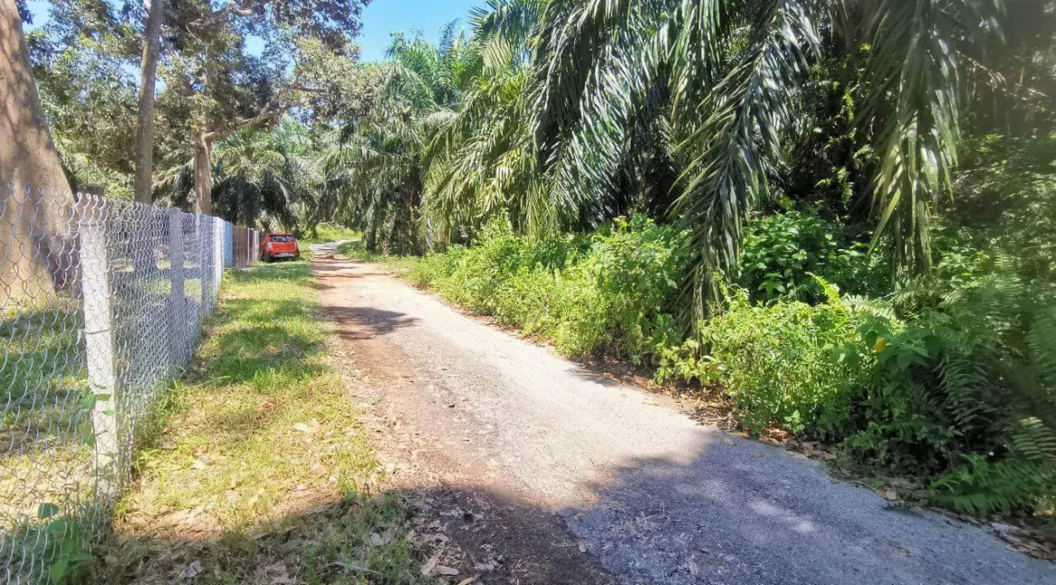 tanah-pertanian-senggang-kuala-kangsar-02