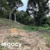 Tanah Pertanian untuk dijual di Bukit Gantang, Bukit Gantang.