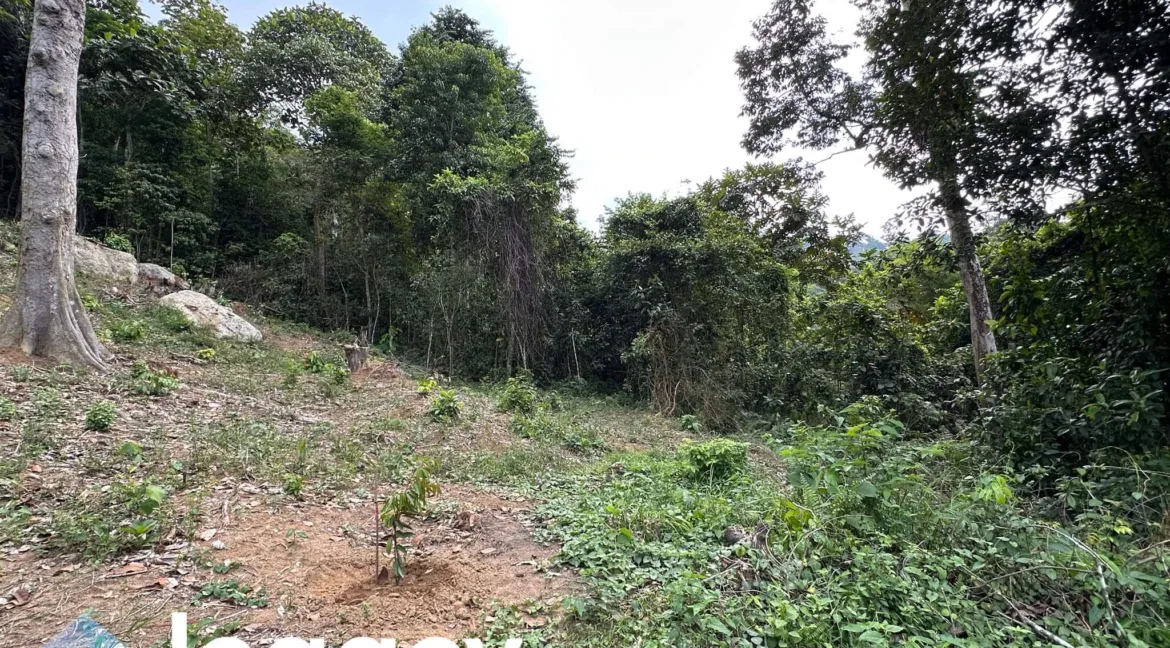 tanah-pertanian-bukit-gantang-02