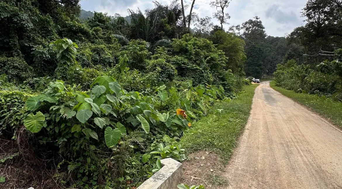 tanah-pertanian-bukit-gantang-03