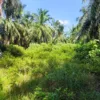 Tanah Pertanian untuk dijual di Parit, Perak Tengah.