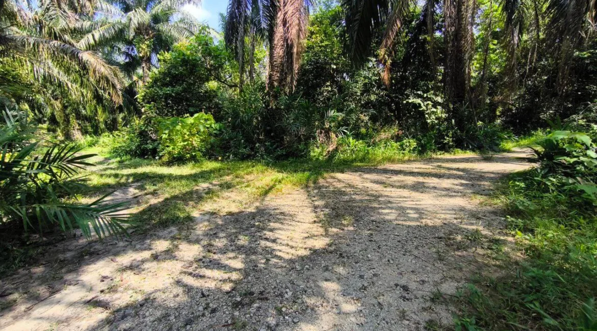 tanah-pertanian-parit-05