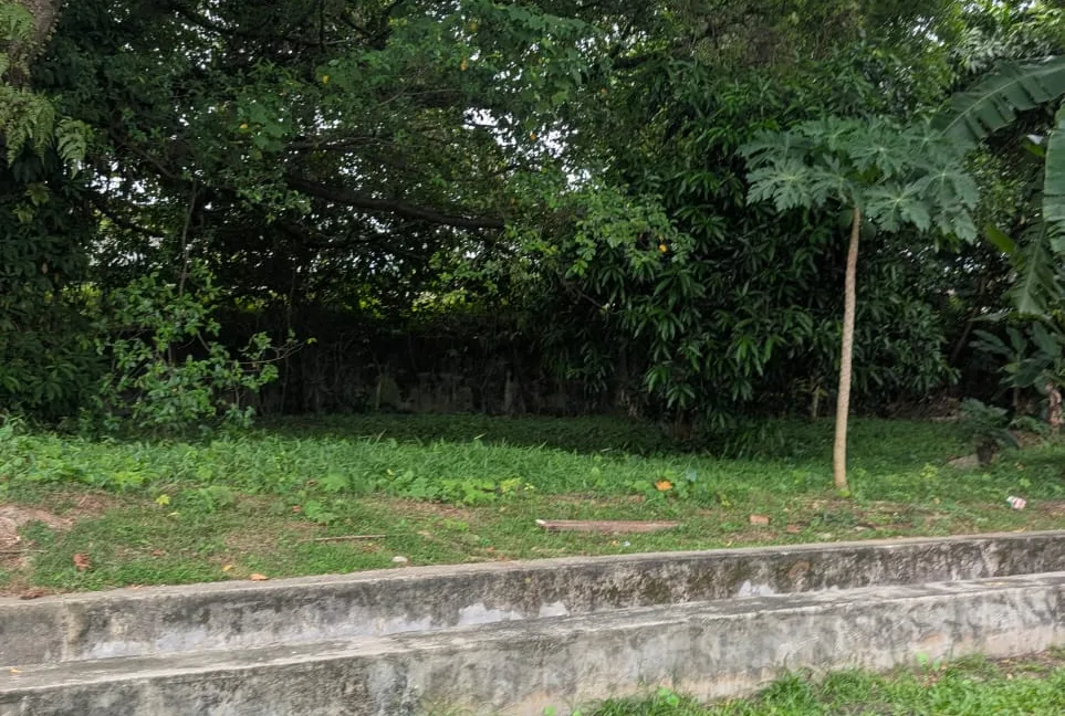 teres-setingkat-taman-cherry-zmaxx-09