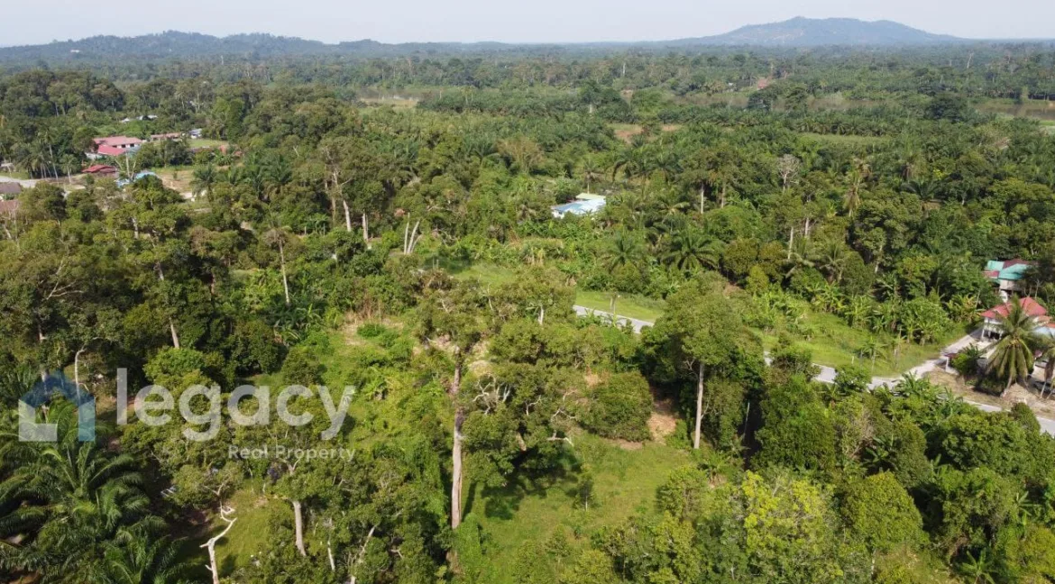 tanah-pertanian-kampung-pasir-kubu-08