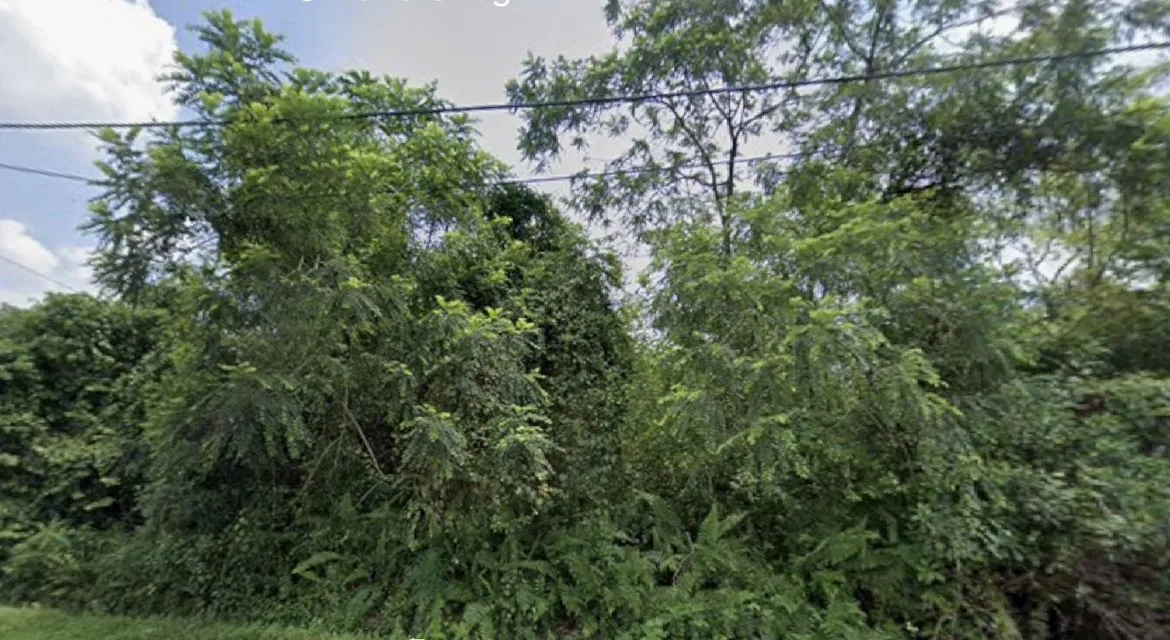 tanah-lot-banglo-untuk-dijual-kg-tersusun-bidor-06