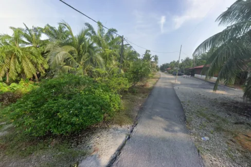 Tanah Pertanian untuk dijual di Kampung Sungai Limau, Larut Matang.