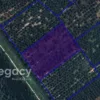 Tanah pertanian sawit untuk dijual di Sungai Tiram, Lekir, Perak