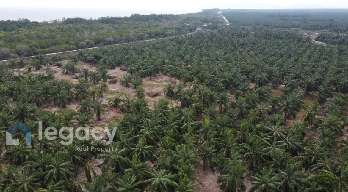 tanah-pertanian-sawit-untuk-dijual-sungai-tiram-lekir-perak03