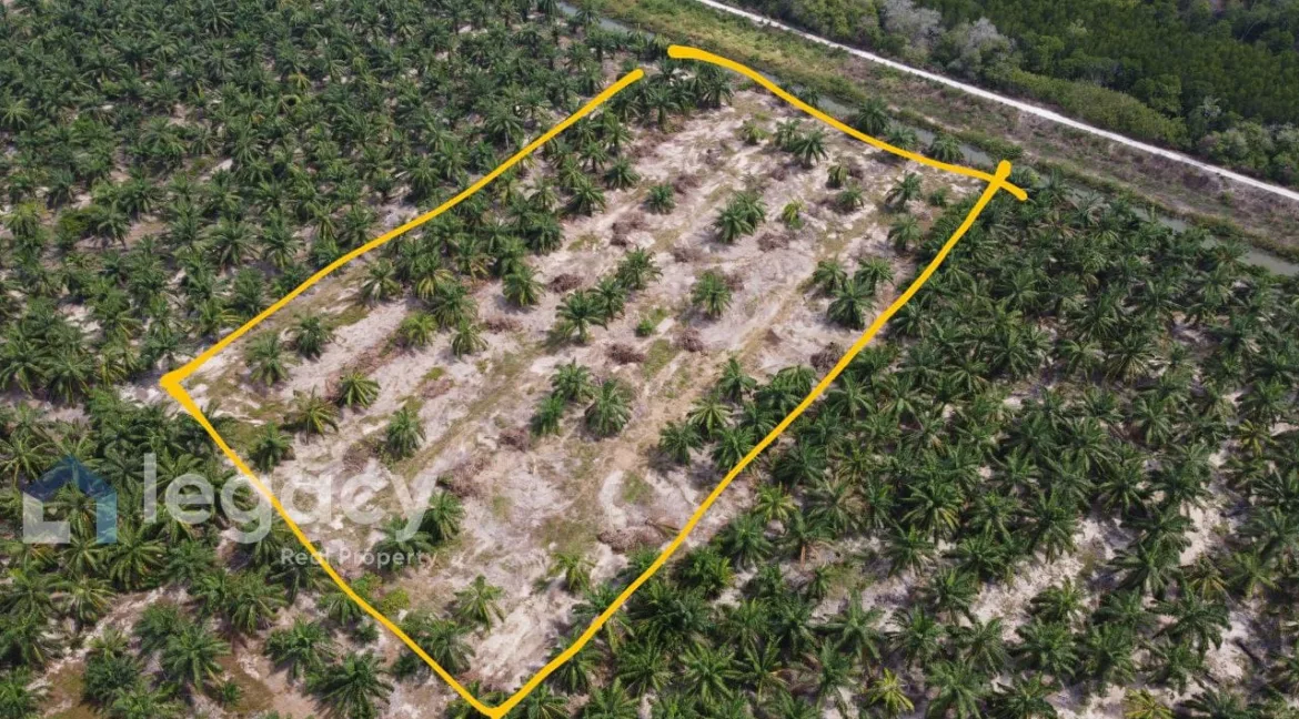 tanah-pertanian-sawit-untuk-dijual-sungai-tiram-lekir-perak08