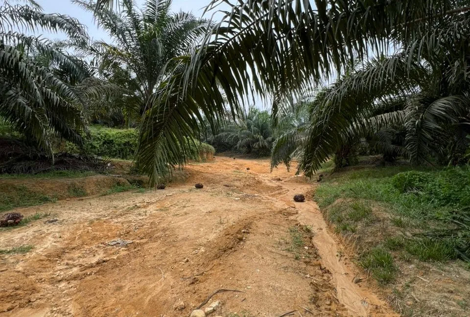 tanah-pertanian-untuk-dijual-di-kampung-gajah-perak-07