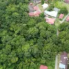 Tanah pertanian untuk dijual di Kampung Kuala Dipang, Kampar, Perak