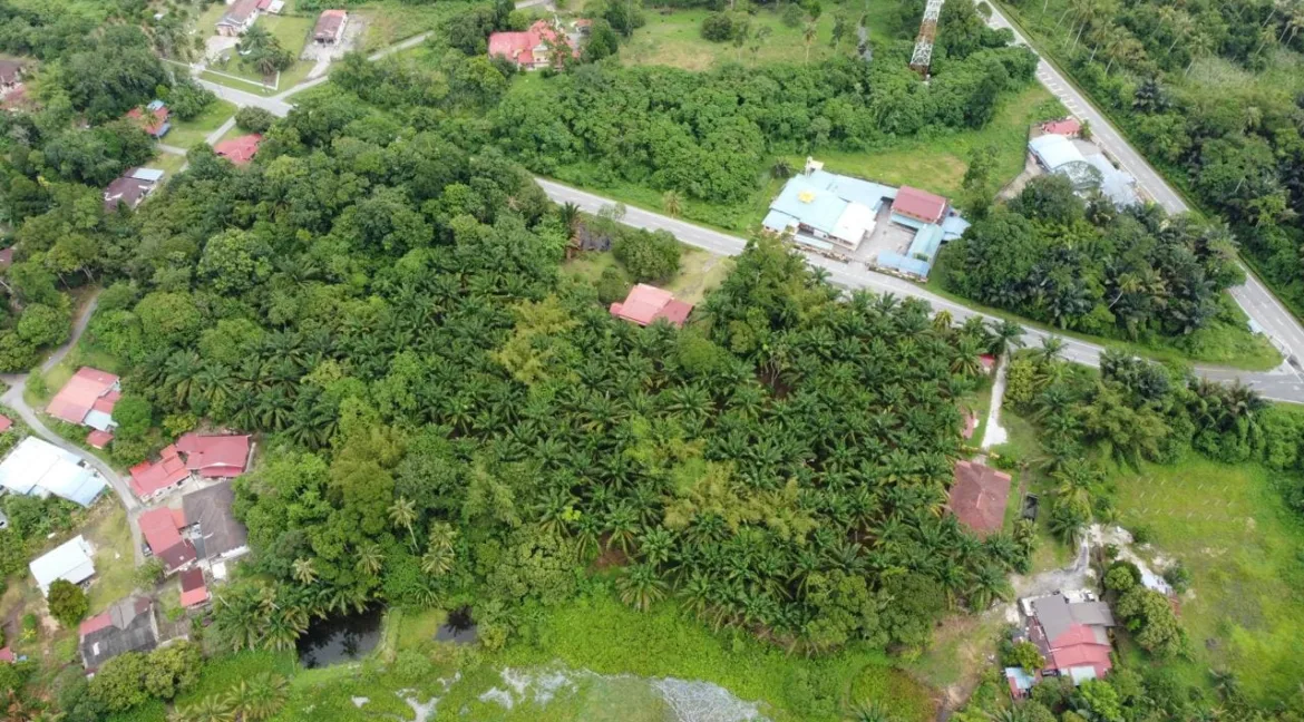 tanah-pertanian-untuk-dijual-kg-kuala-dipang-kampar-11