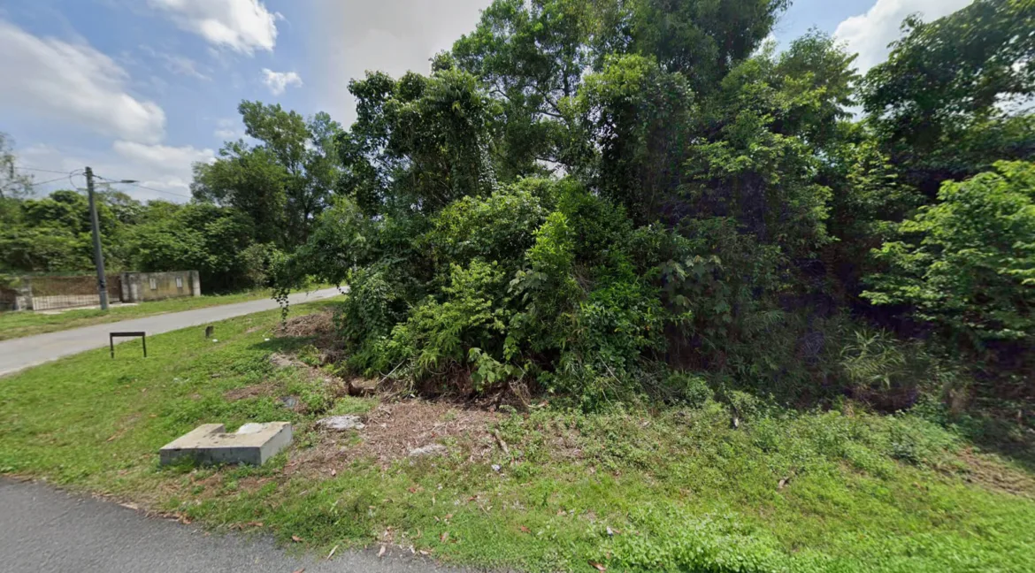 tanah-lot-kediaman-untuk-dijual-rpt-muhibbah-bidor-stesyen-ii-bidor-03