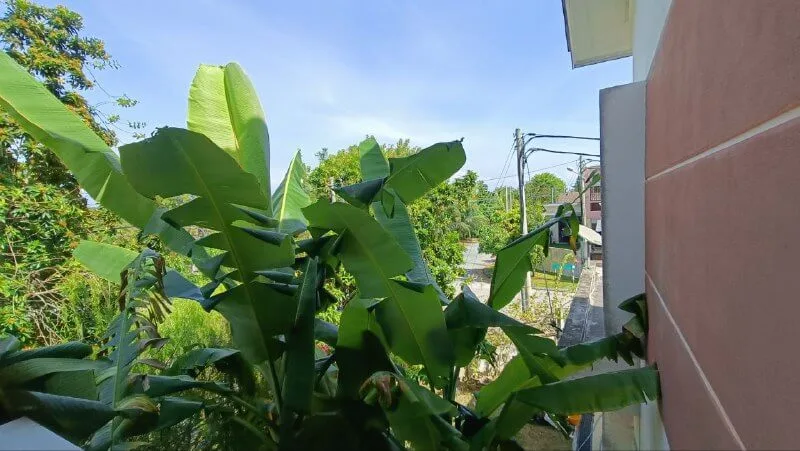 teres-dua-tingkat-corner-lot-bandar-universiti-lakeville-seri-iskandar-23