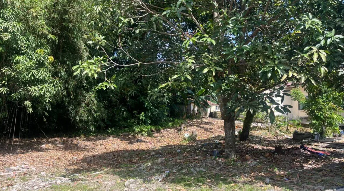 tanah-lot-kediaman-untuk-dijual-di-medan-pasir-saujana-ipoh-04