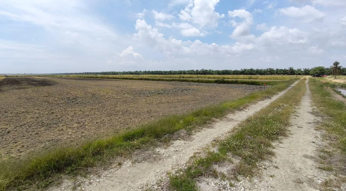 Tanah padi untuk dijual di Seberang Perak, Perak Tengah, Perak