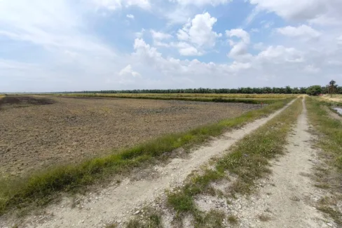 Tanah padi untuk dijual di Seberang Perak, Perak Tengah, Perak