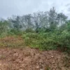 Tanah lot banglo untuk dijual di Kampung Periang, Kuala Kangsar, Perak