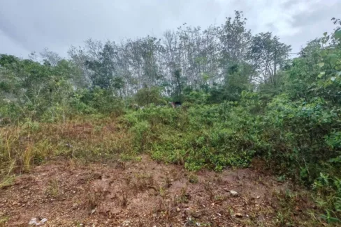 Tanah lot banglo untuk dijual di Kampung Periang, Kuala Kangsar, Perak