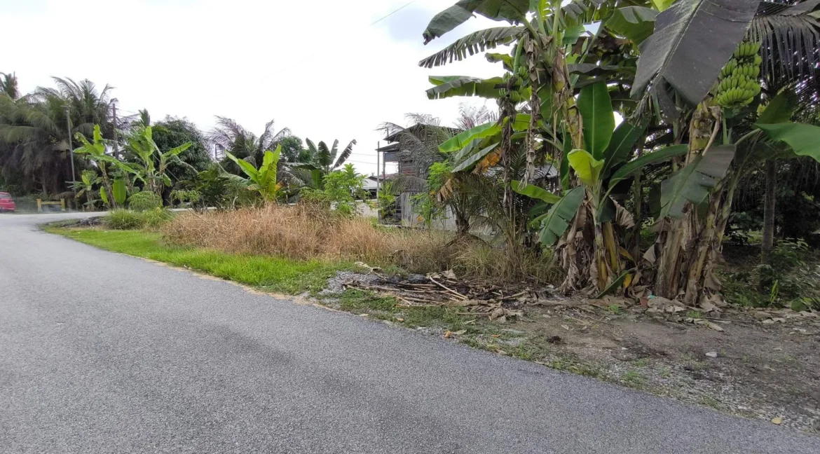tanah-lot-kediaman-untuk-dijual-di-seberang-perak-pasir-salak-2-04