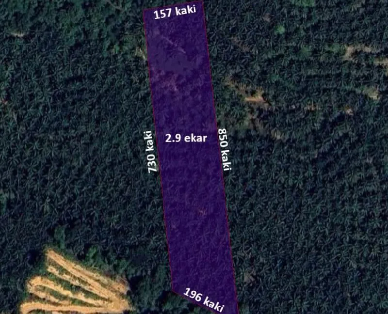 tanah-pertanian-untuk-dijual-di-kampung-pulau-kemiri-sungai-siput-03