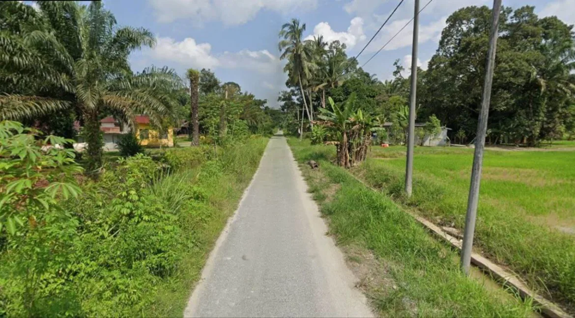 Tanah sawah untuk dijual di Lorong Haji Sadi, Chenderong Balai, Perak