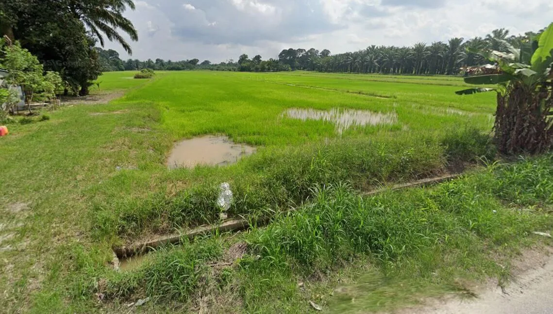 tanah-sawah-untuk-dijual-di-lorong-haji-sadi-chenderong-balai-02