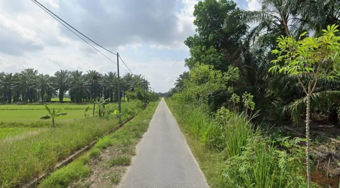 tanah-sawah-untuk-dijual-di-lorong-haji-sadi-chenderong-balai-03