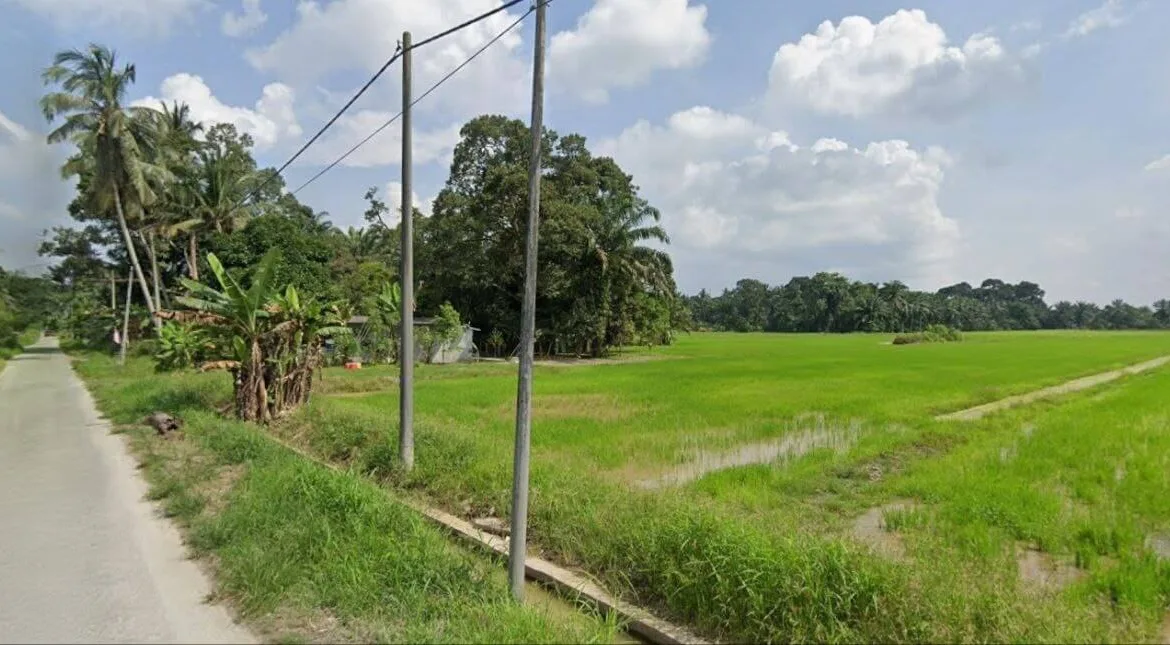Tanah sawah untuk dijual di Lorong Haji Sadi, Chenderong Balai, Perak