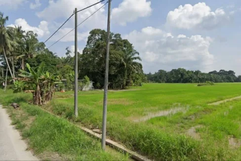 Tanah sawah untuk dijual di Lorong Haji Sadi, Chenderong Balai, Perak