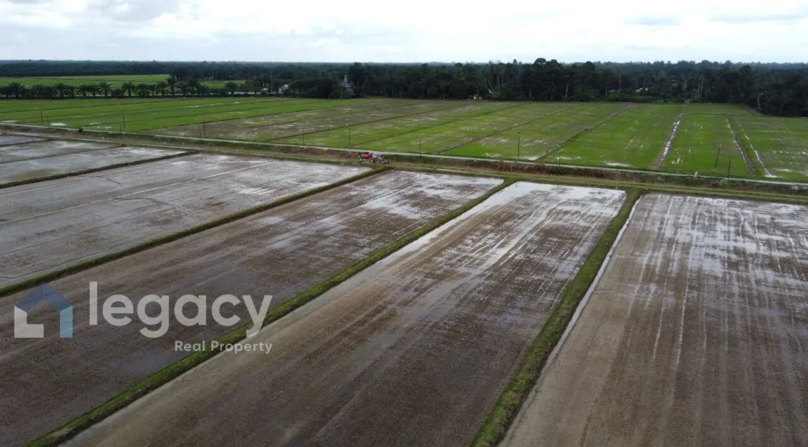 Tanah pertanian untuk dijual di Labu Kubong, Chenderong Balai, Perak