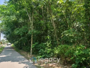 Tanah pertanian untuk dijual di Sungai Seribu, Gopeng, Perak
