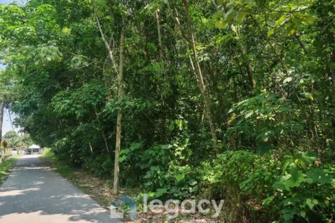 Tanah pertanian untuk dijual di Sungai Seribu, Gopeng, Perak